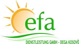 EFA GmbH logo